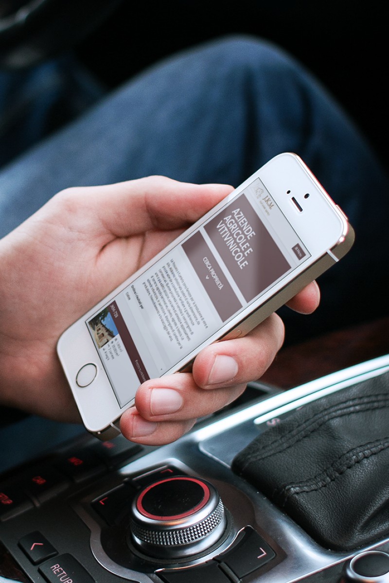 J.K.M., Real Estate Agency Tiphys Srl, Realizzazione siti